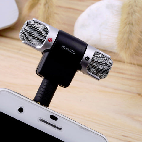 Mini Stereo Microphone